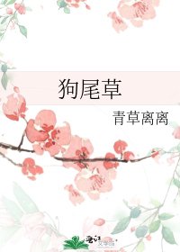 《狗尾草》