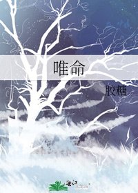 《唯命》