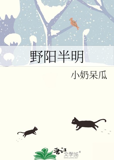 《野阳半明》