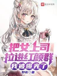 《把女上司拉进红颜群,我被曝光了》