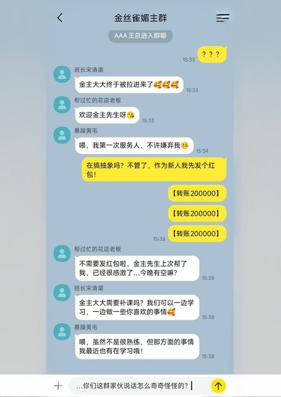 《纯情土大款,清白很危险》