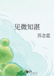 《见微知湛》