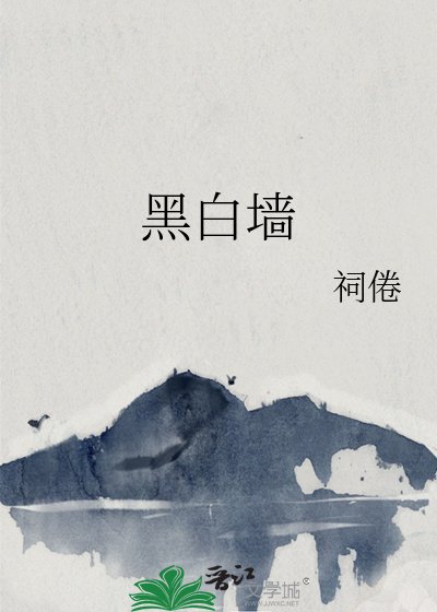 《黑白墙》