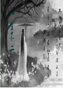 (BL/网王同人)一生不二(allf)