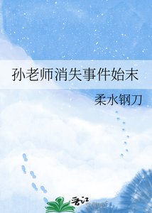 《孙老师消失事件始末》