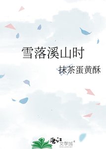 《雪落溪山时》