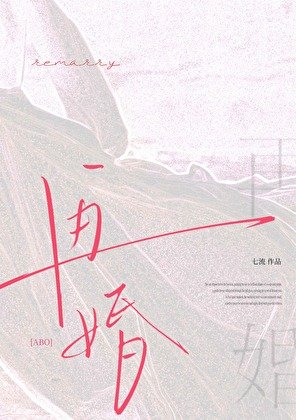 再婚abo