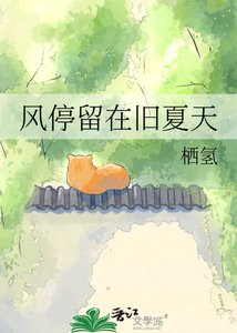 《风停留在旧夏天》