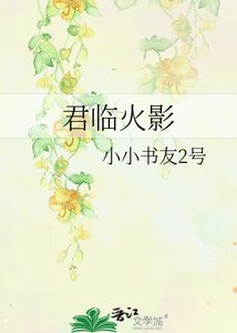 《君临火影》