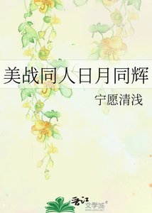 《美战同人日月同辉》