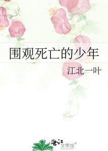 《围观死亡的少年》