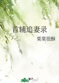 《清冷首辅火葬场纪实/首辅追妻录》