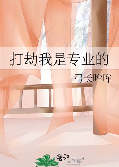 《打劫我是专业的》