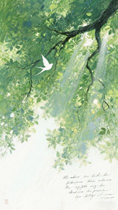 《他的专属称呼》