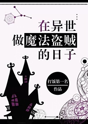 在异世做魔法盗贼的日子