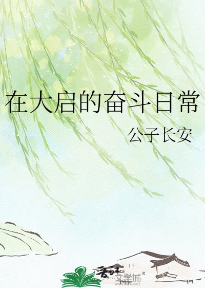 《在大启的奋斗日常》