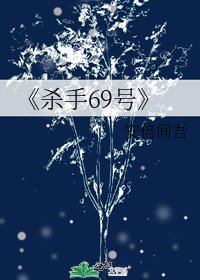 《杀手69号》