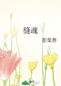 缝魂