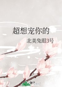 《超想宠你的》