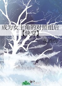 《成为女主角的对照组后【快穿】》