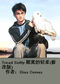 《Tread Softly 期冀的轻柔(修改版) 》