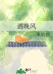 《遇晚风》