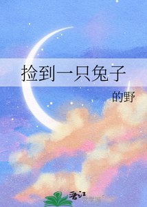 《捡到一只兔子》