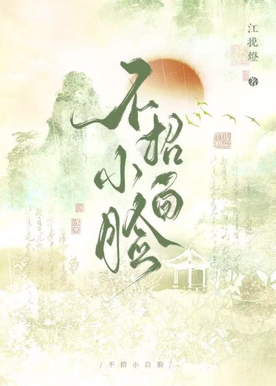不招小白脸GB