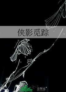 《侠影觅踪》