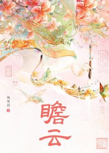 《瞻云》