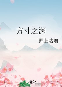《方寸之渊》