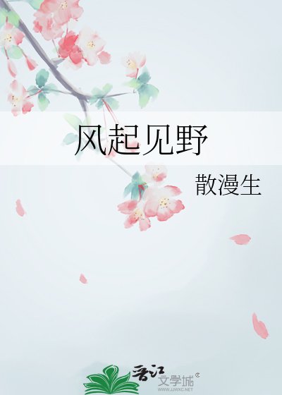 《风起见野》