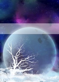 《天眼之幽灵棺》