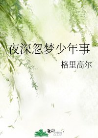 《夜深忽梦少年事》
