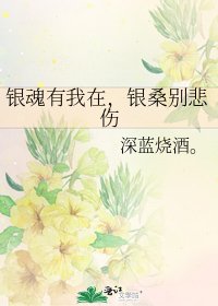 《银魂有我在,银桑别悲伤》