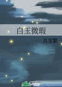 《白玉微瑕》