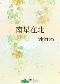 《南星在北》