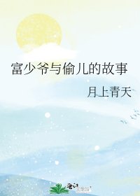 富少爷与偷儿的故事