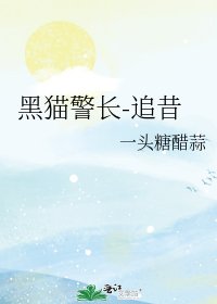 《黑猫警长-追昔》