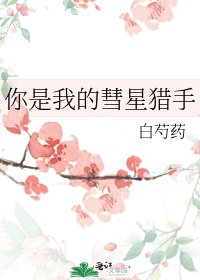 《你是我的彗星猎手》