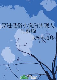 《穿进低俗后实现人生巅峰》
