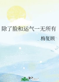 《除了脸和运气一无所有》