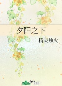 《夕阳之下》