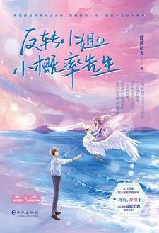 反转小 姐与小概率先生