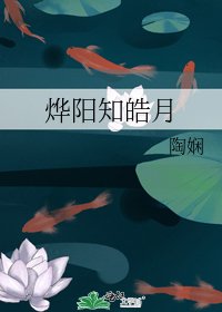 《烨阳知皓月》