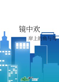 《镜中欢》