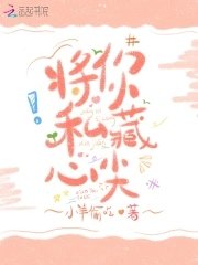 《将你私藏心尖》