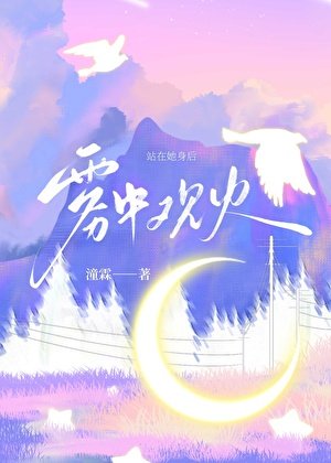 《雾中观火》