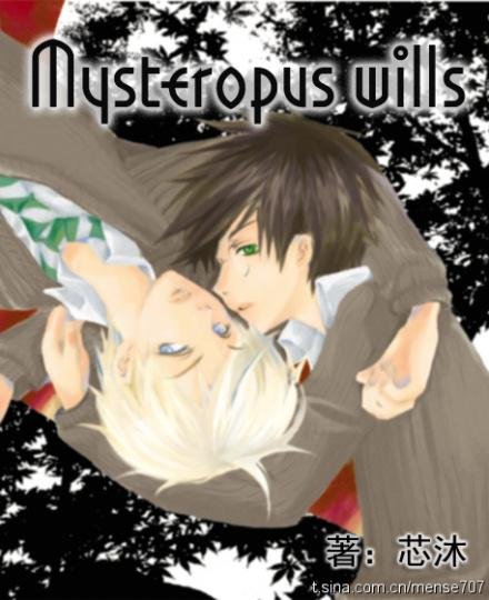 爱人的遗产/Mysteropus wills