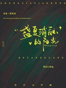 《盛夏消融的阳光》
